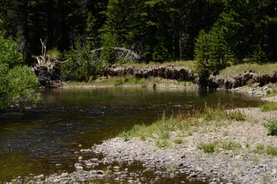 DSC_3646 (Large).JPG